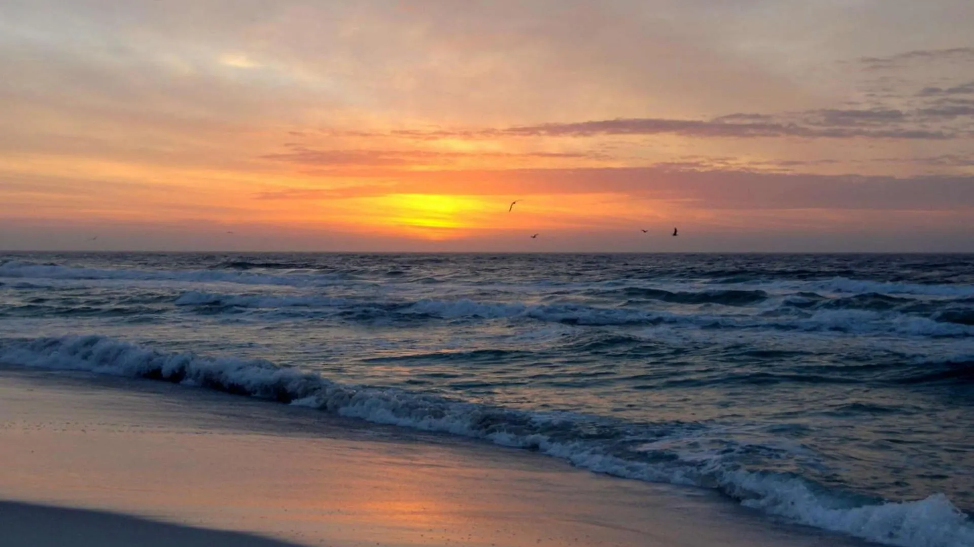Semesterbostad Commodore 502 Villa Panama City Beach USA